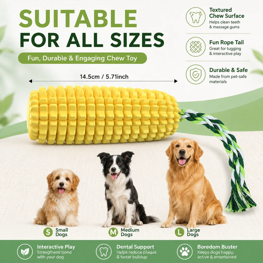 Dog chewing the CobCalm corn toy showing dental benefits