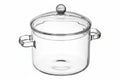 Glass Stew Pot with Lid