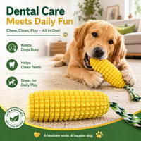 CobCalm Dental Dog Chew Toy
